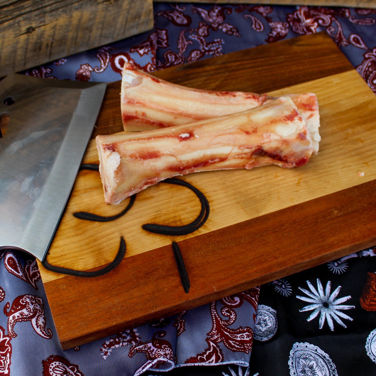 Femur Bones